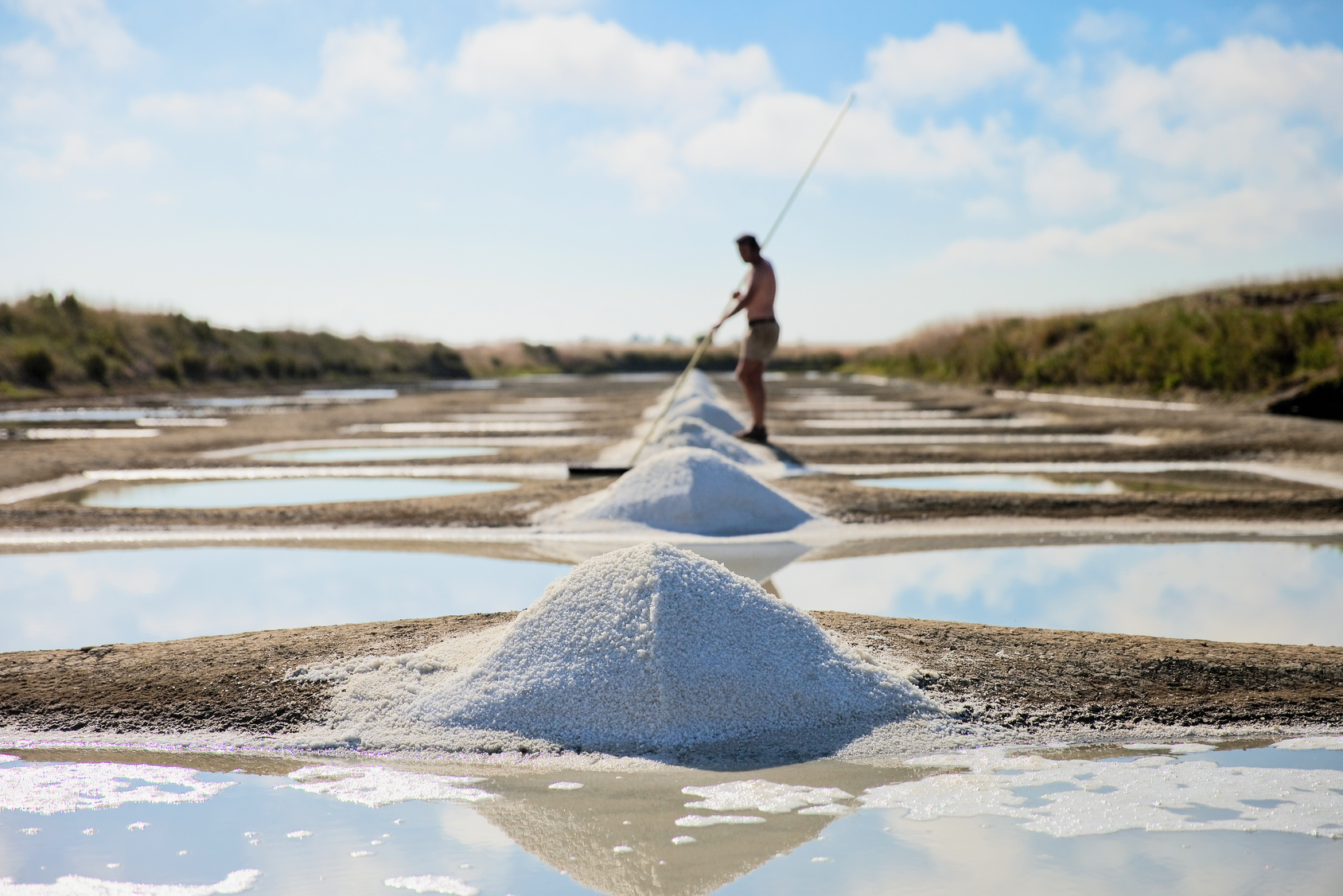 Marais salants et saunier