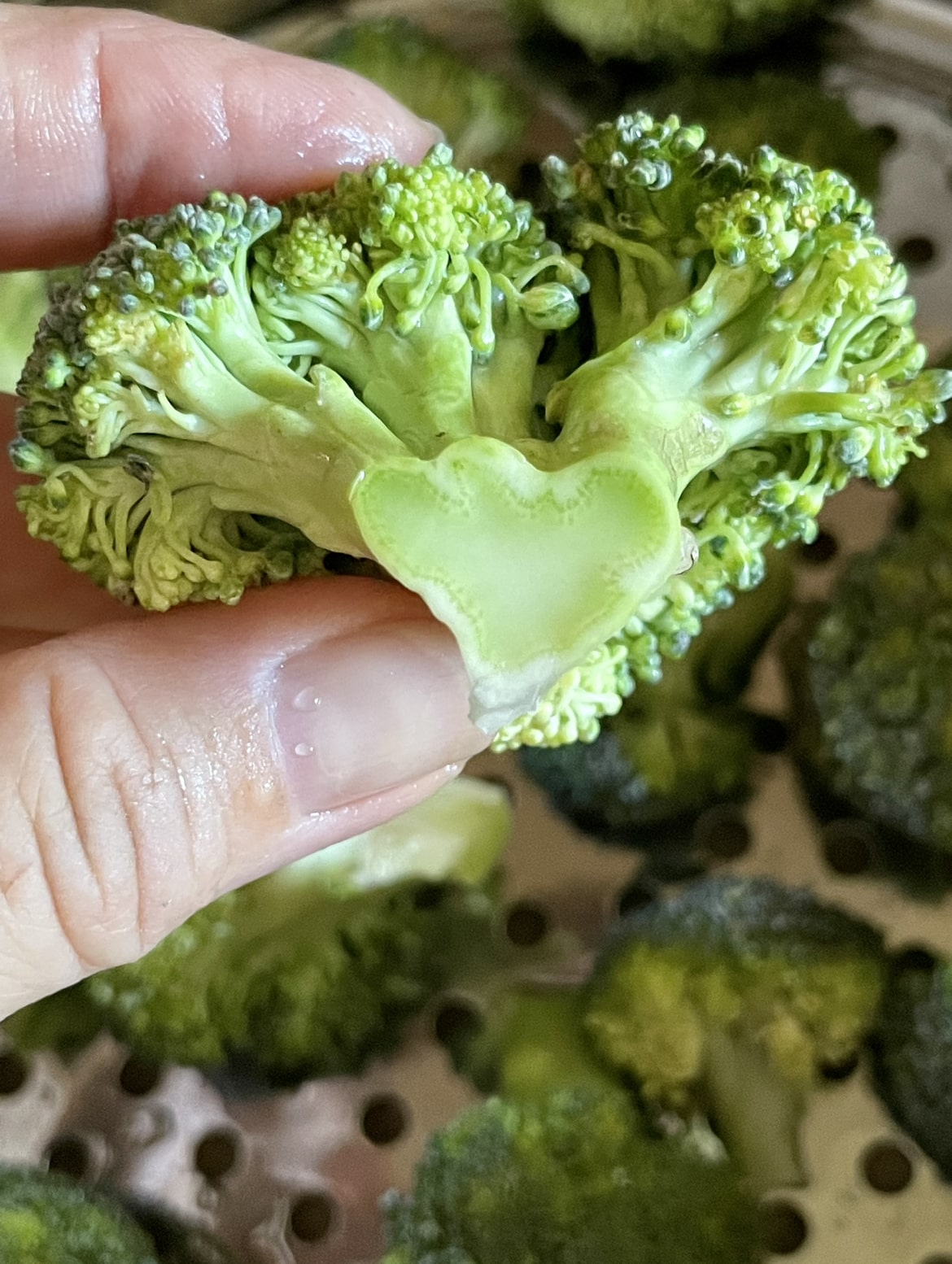 guide jeune détox recettes